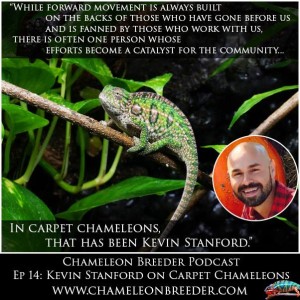 Carpet Chameleon Podcast episode